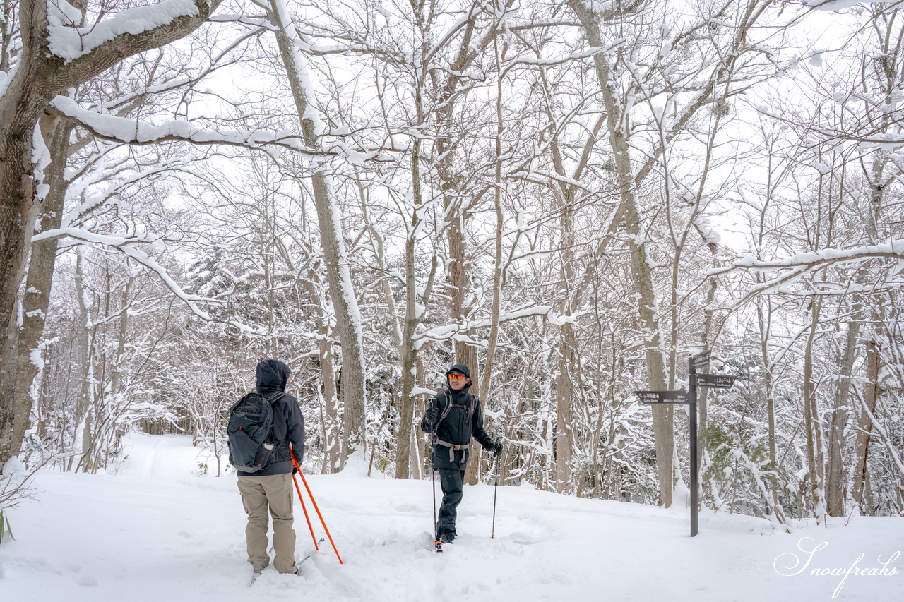 岩見沢市のスキーハイキング専門店『well-tuned』presents... 